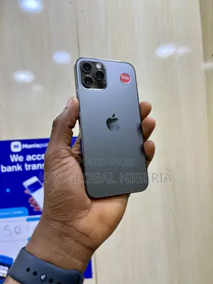Apple iPhone 12 Pro 512 GB Gray