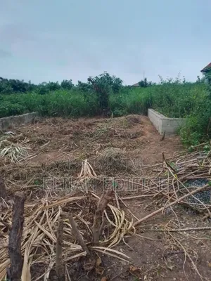 Secured Half Plot(25x100) at Parkview, Ikorodu