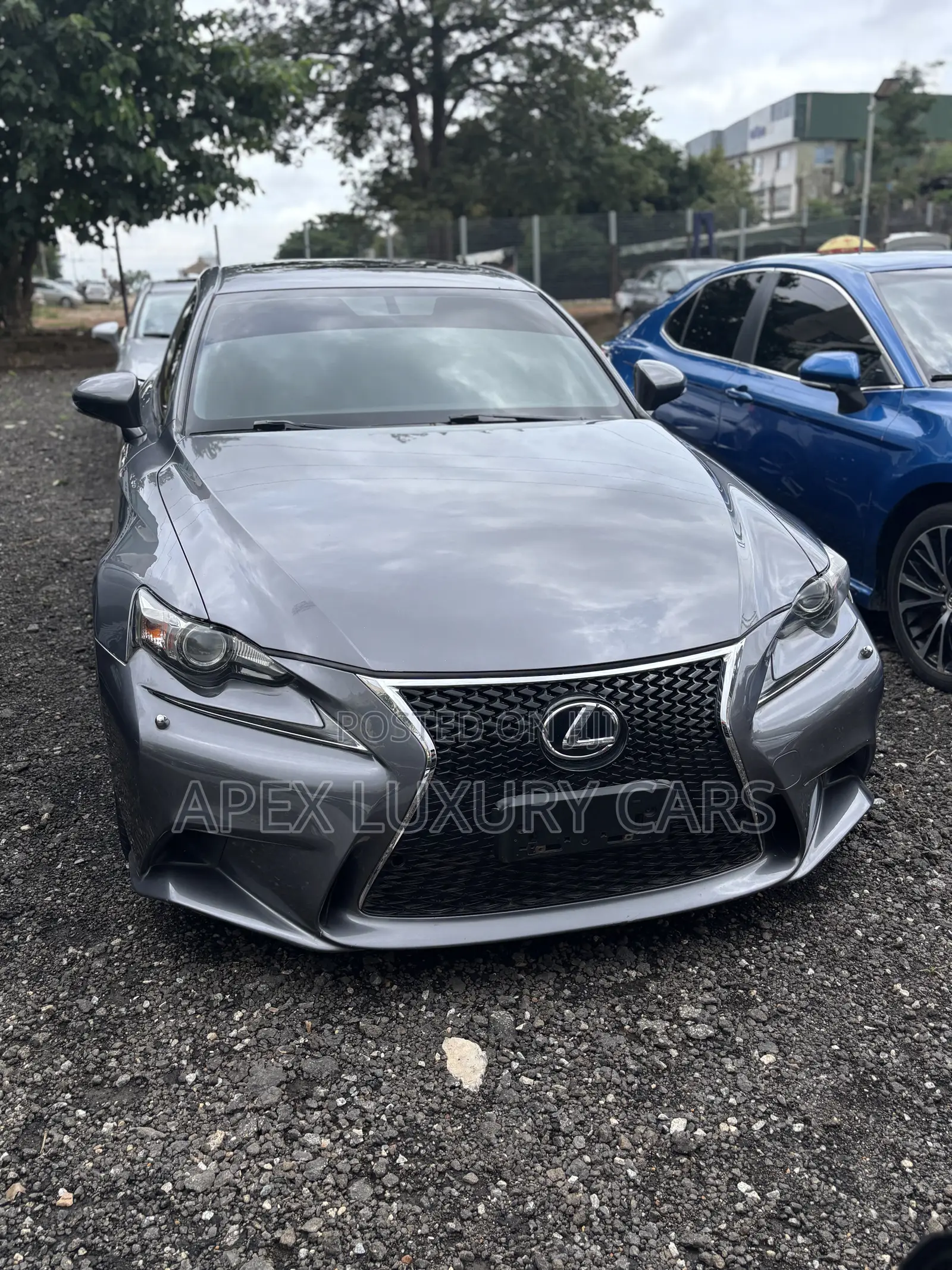 Lexus IS 2014 Gray