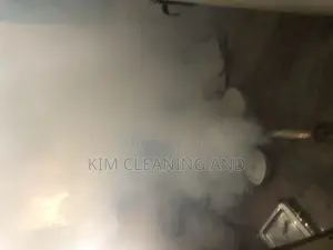 Pest/Insects Fumigation