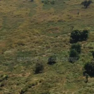 194 Hectares Karsana Land for Sale