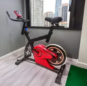 Spinning Bike. Weight 130kg