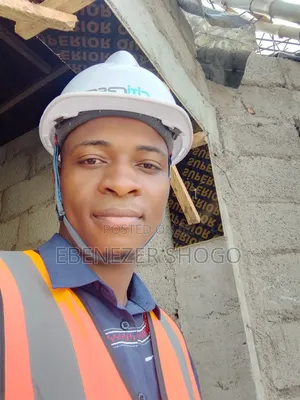 Architect/Project Manager
