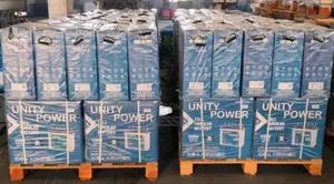240ah Unity Power Tubular Battery Indian