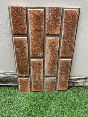 Bricks Form 30x50 Indian Wall Tiles