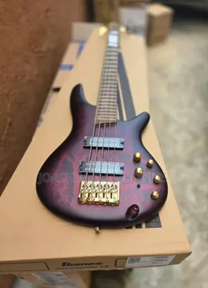 Ibanez Professional Guitar 305