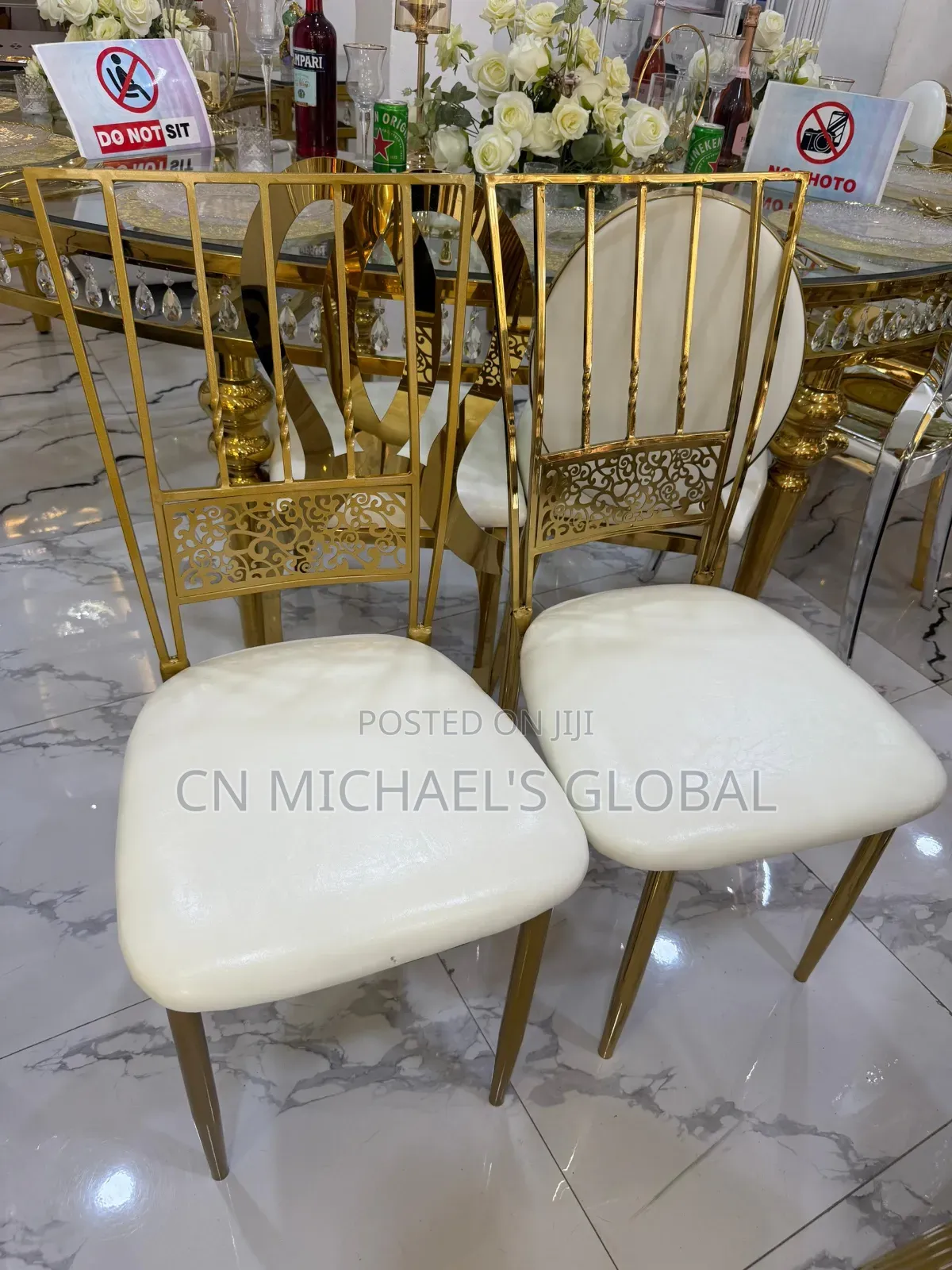 New Model Chameleon Chairs
