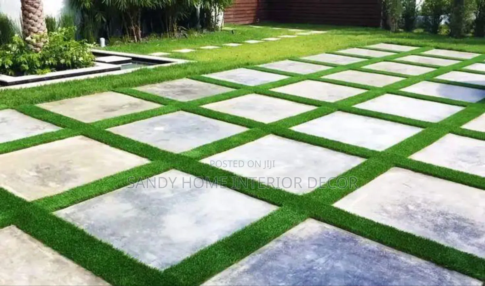 Standard Turkish Turf Grass