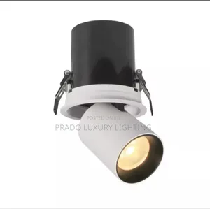 Downlight Cob