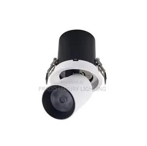Downlight Cob
