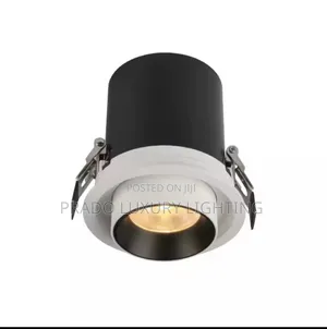 Downlight Cob