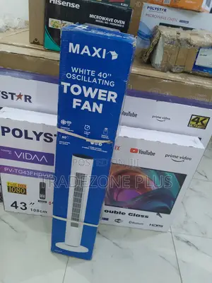 Maxi Oscillating Fan Fz10-22jr – Compact Powerful