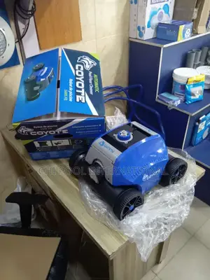 Automatic Pool Cleaner
