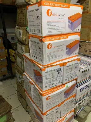 200 Ahms Felicity Dry Cell Battery