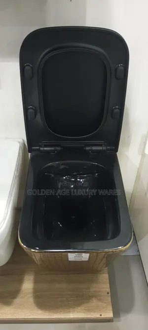 Black and Gold Concealed Wc