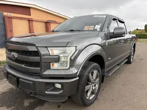 Ford F-150 2016 Gray
