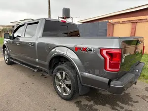 Ford F-150 2016 Gray