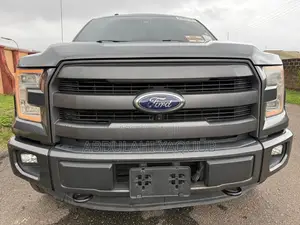 Ford F-150 2016 Gray