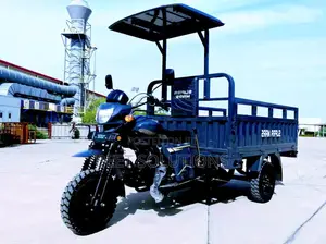 New Tricycle 2024 Gray