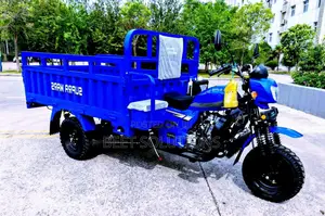 New Tricycle 2025 Blue