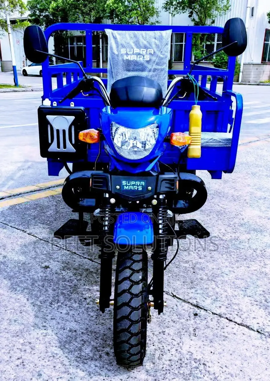 New Tricycle 2025 Blue