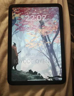 Apple iPad mini 6 256 GB Gray