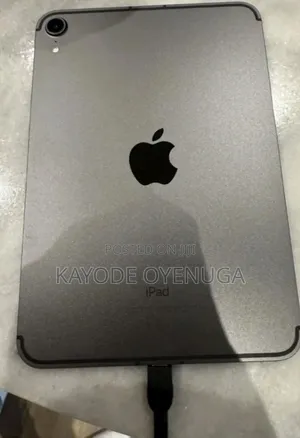 Apple iPad mini 6 256 GB Gray
