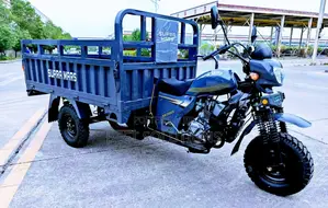 New Tricycle 2025 Blue