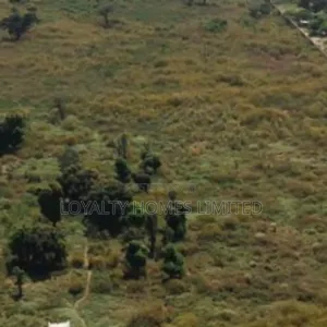 8 Hectares of Land Available for Sale at Idu