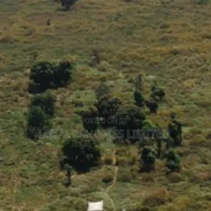 9 Hectares of Land Available