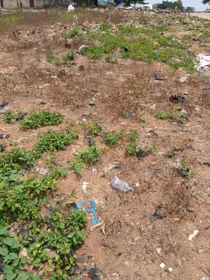 A Dry And Lovely 6 Plots Of Land Selling At Ajah