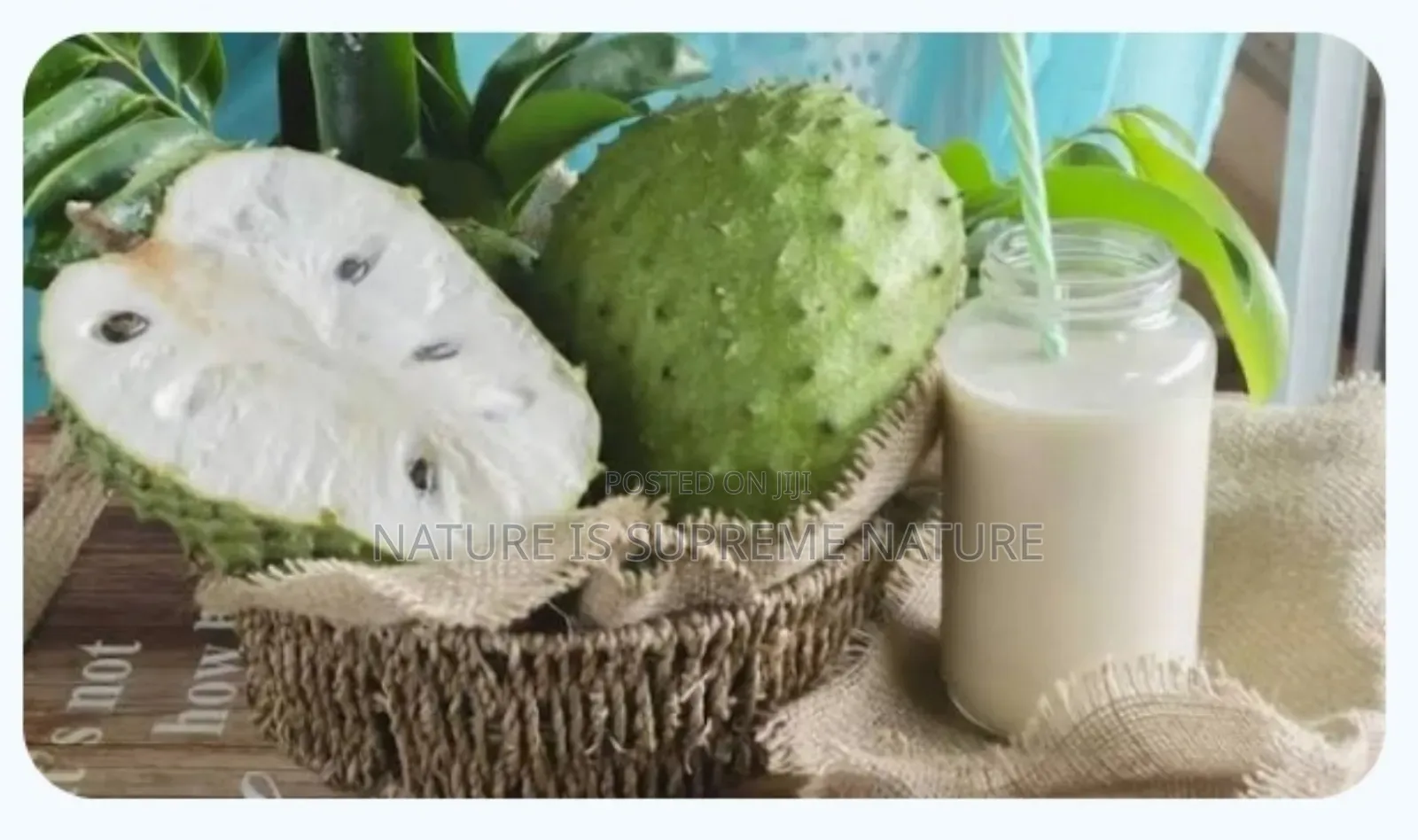 Soursop Fruits