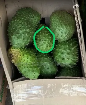 Soursop Fruits