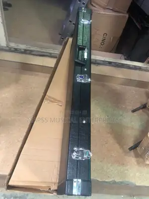 Hard Case for an Electric Guitar