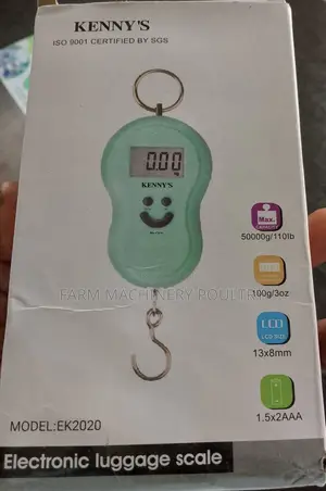 Hanging Scale