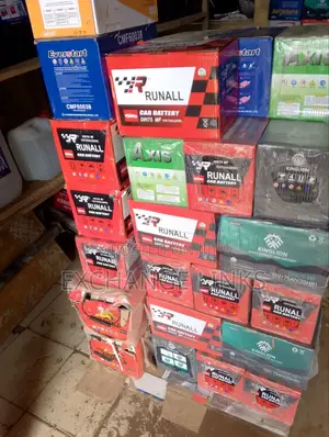 High Quality Car Battery