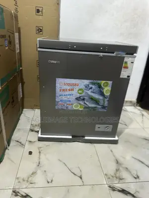 Low Energy Snowsea Bd-178 Freezer