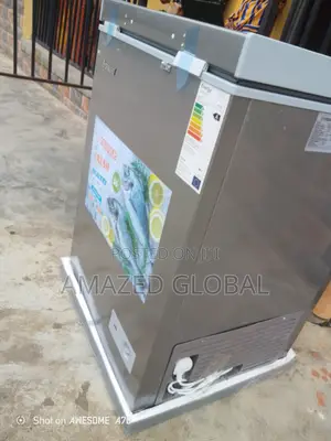 Reliable Snowsea 100l Freezer Bd-158
