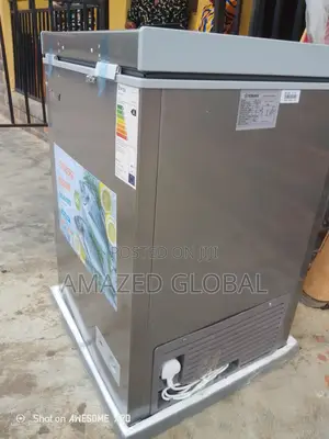 Snowsea Deep Freezer 100l for Home Use