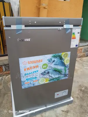 Affordable Snowsea Freezer 100l Bd158