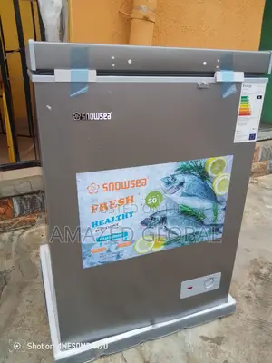 100l Snowsea Chest Freezer for Storage
