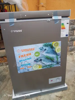 Snowsea Bd158 Freezer - 100l, Eco-Friendly