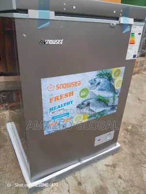 Snowsea Freezer 100l With Compressor Cool