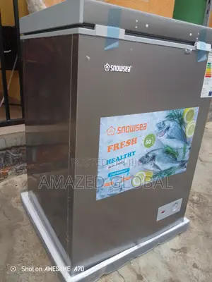 Chest Freezer 100l Snowsea With Locking Lid