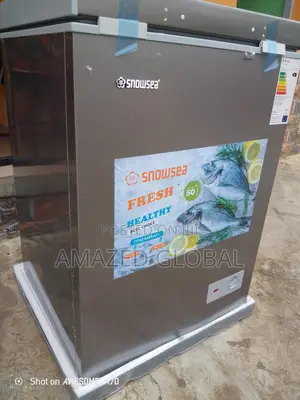 Snowsea Freezer 100l for Food Storage