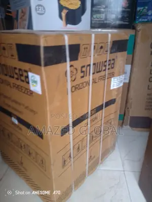Snowsea Bd-158 Freezer for Daily Storage