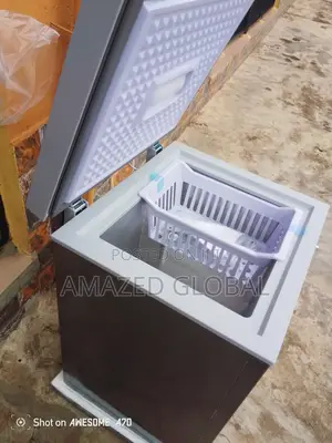 Snowsea Bd-158 Freezer for Daily Storage