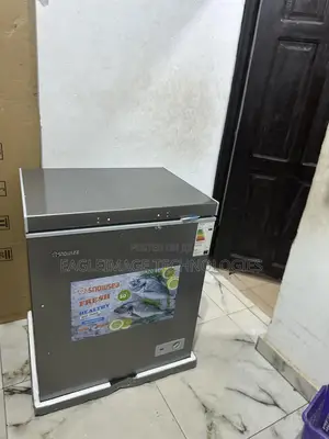 Frost-Free Snowsea Bd-178 Chest Freezer