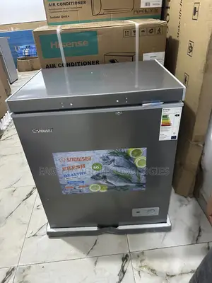 Snowsea Bd-178 Freezer, Working Great