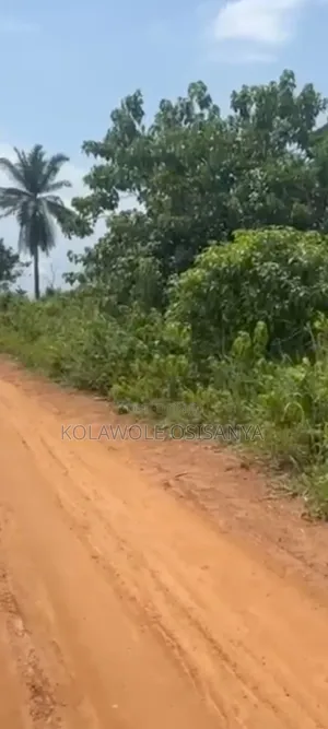 Virgin 2acres Of Mixed Use Land At Ibogun Off Iyana Coker
